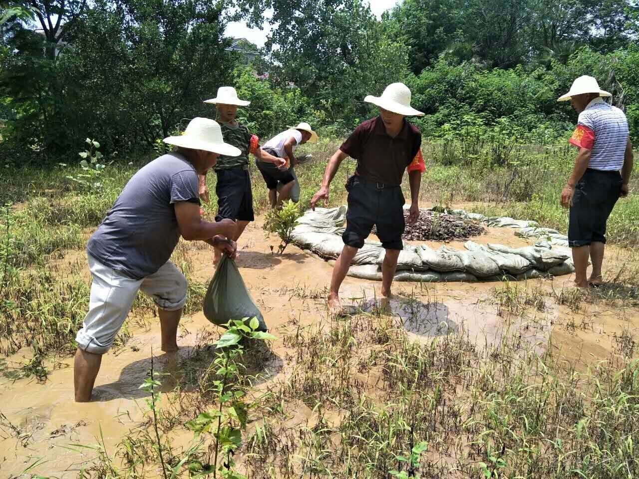 QQ图片20170706101424.jpg